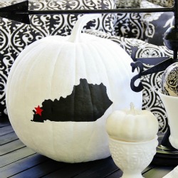 create your own state pumpkin, crafts, flowers