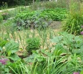 How Do You Reduce the Cancer Risk in the Garden?