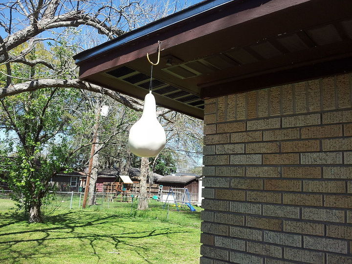birdies wanted gourd house free rent, outdoor living, pets animals