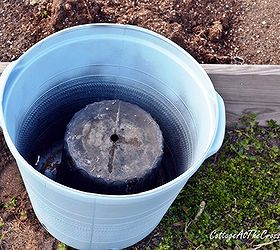 potting up spring, flowers, gardening, Turn a smaller pot upside down in a large pot to save on the amount of soil needed