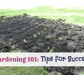 Gardening 101 5 Tips To A Successful Garden Hometalk