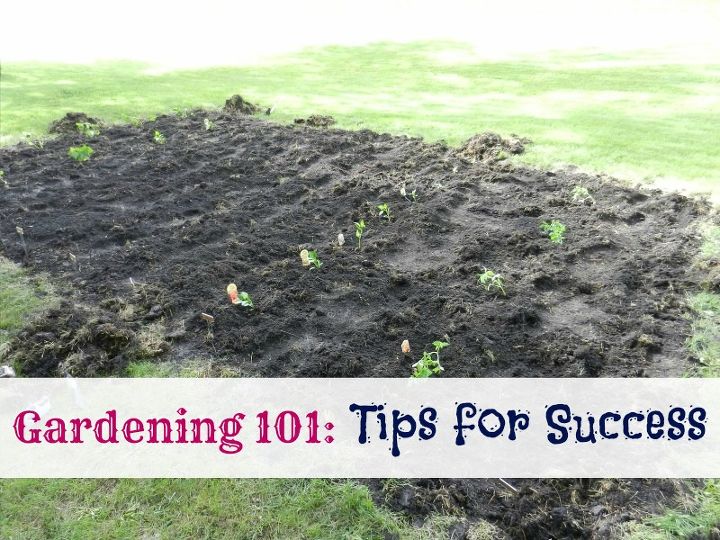 gardening 101 5 tips to a successful garden, gardening