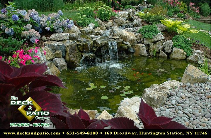 you can t ask for a better location for a pond and stream, landscape, outdoor living, patio, ponds water features, 11 x 16 Koi pond right next to the main patio and within view from the the kitchen window More info on this project