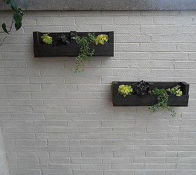 from pallet to wall planters, diy, gardening, pallet, repurposing upcycling, woodworking projects, Wall after I hung my planters