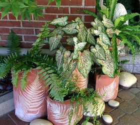 using houseplants in summer containers, container gardening, gardening, A grouping of ferns and caladium look amazing in these matching pots