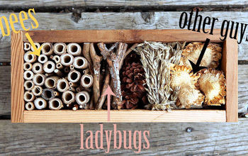 How to Build a Bug Hotel