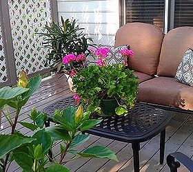 enjoying my deck, decks, flowers, gardening, hibiscus, outdoor living
