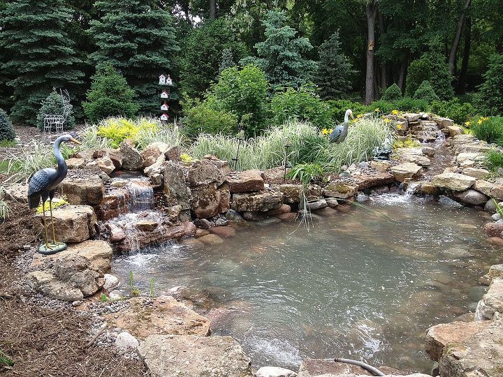 pondless waterfall to pond oakbrook il installed by gem ponds, gardening, outdoor living, ponds water features, Tweaked the falls and added a few plants and fish