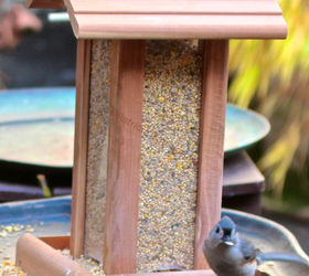 part 2 back story of tllg s rain or shine feeders, outdoor living, pets animals, GOTCHA Tuft titmouse caught in the act at the FH Feeder Tuft titmouse info