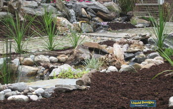 Rainwater Harvesting and self sustainable water feature