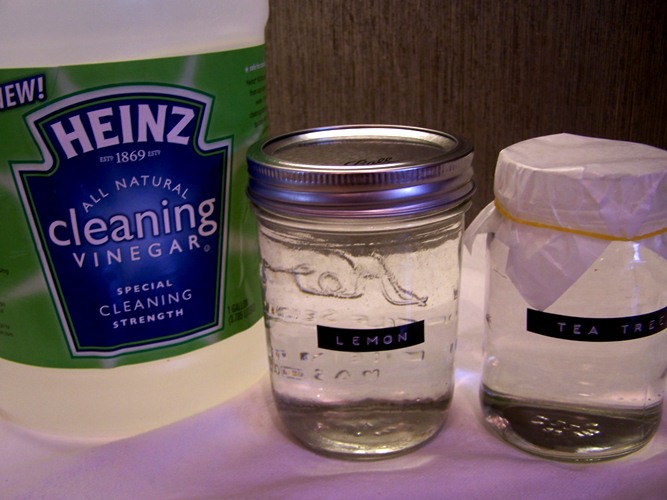 cleaning with vinegar, cleaning tips, go green, I used essential oils like lemon and tea tree scented my vinegar and water solution and I love the scent It is so refreshing