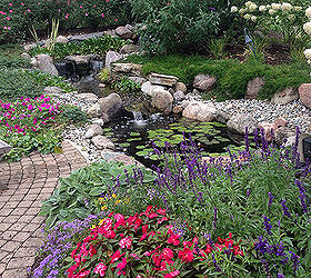 bringing your pond close to your patio, landscape, ponds water features, Patio Pond