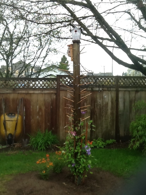i m calling it my clematis bird condo totem pole, flowers, gardening