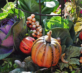 a quick fall update for container plantings, container gardening, flowers, gardening, perennials, When your annuals die in frost add decorative floral picks with pumpkins or berries to fill in the gaps between the cabbages You can find these floral picks at your local craft store