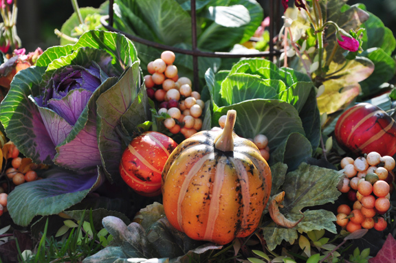 a quick fall update for container plantings, container gardening, flowers, gardening, perennials, When your annuals die in frost add decorative floral picks with pumpkins or berries to fill in the gaps between the cabbages You can find these floral picks at your local craft store