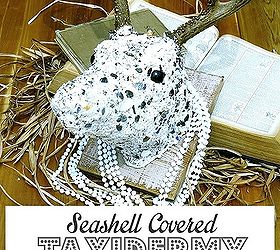 5 easy seashell display ideas, home decor, you just gotta read the story that goes along with 5