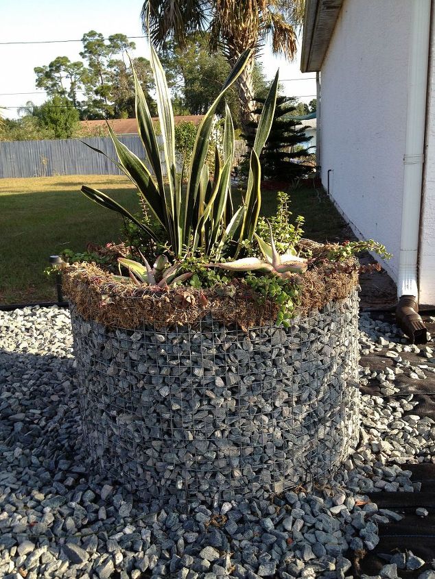 gabion planter from defunct clothes dryer, gardening, repurposing upcycling, succulents, The completed planter