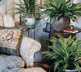 houseplants add life to your home houseplants are a great way to bring spring, gardening