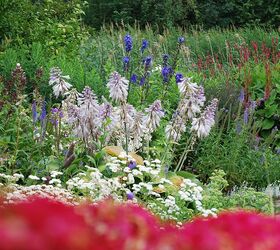 hans pardoel gardens, gardening, Colorcompositions are so important for daydreaming and inspiration in your garden