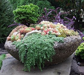 what do you know about hypertufa, concrete masonry, gardening, A pretty bowl filled with plant color and texture photo courtesy plantman56 blogspot com