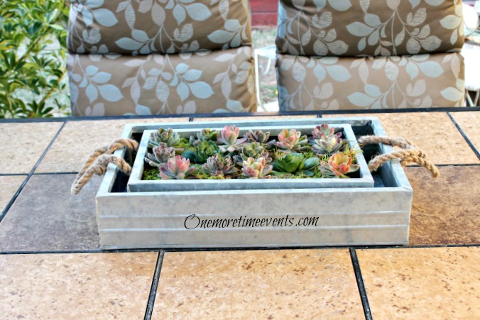 faux succulent patio centerpiece in galvanized tray, flowers, gardening, hydrangea, succulents