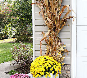fun and festive fall porch, curb appeal, gardening, outdoor living, seasonal holiday decor, wreaths, Cornstalks and mums stand beside the garage