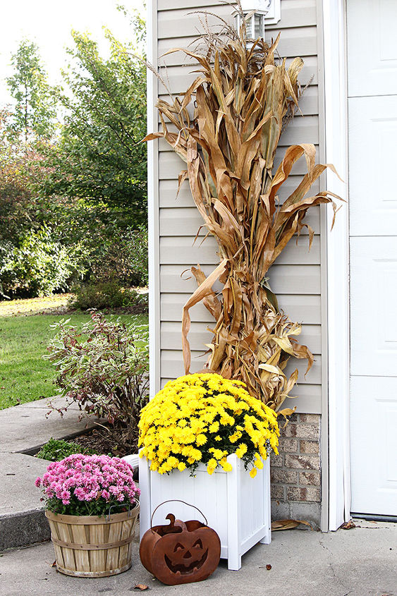 fun and festive fall porch, curb appeal, gardening, outdoor living, seasonal holiday decor, wreaths, Cornstalks and mums stand beside the garage