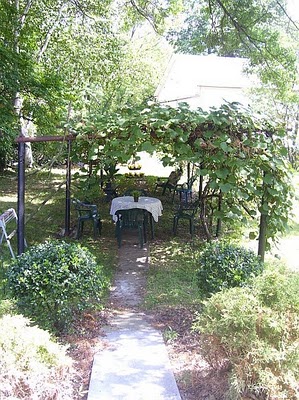 we rebuilt our grape arbor gazebo, gardening, landscape, outdoor living, Before was rustic but not in a good way