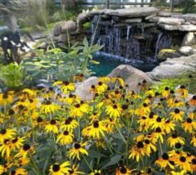 ponds water features, outdoor living, ponds water features