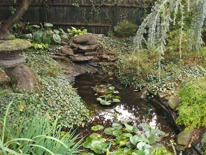 backyard waterfall water garden pond restoration remodel repair with led lighting, landscape, outdoor living, ponds water features, Rochester NY Waterfall Pond Repair Replace Restore Remodel Before Acorn Landscaping Certified Aquascape Contractor of Rochester NY This pond was 20 years old and in need of a Filtration System as well as a new liner