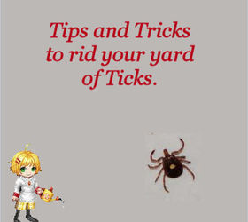How to Control Ticks in Your Yard.
