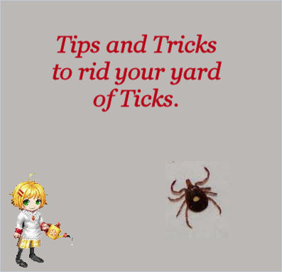 how to control ticks in your yard, gardening, pest control