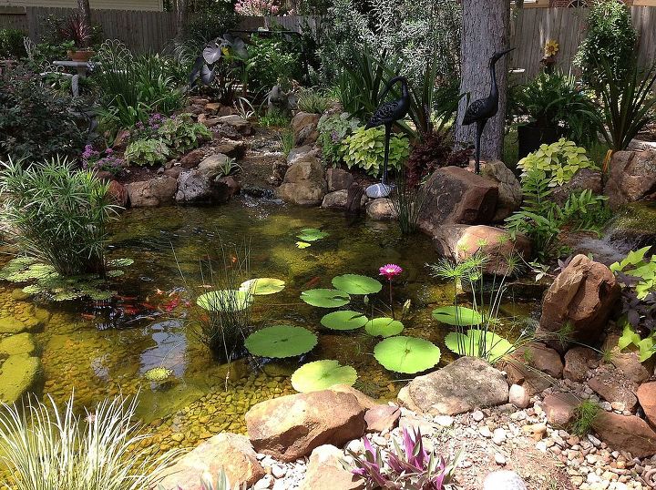 lagos de jardim so a joia do estilo de vida aqutico, Linda Koi Ecosystem Pond perto de Houston TX com duas cachoeiras
