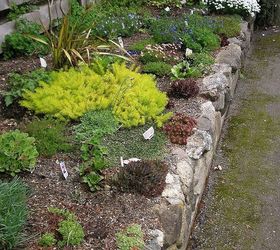 how to build a rock garden, gardening, landscape, succulents, Rock garden at Darts Hill Surrey BC I love this look using alpine plants and hoped to have our rock garden wall look similar