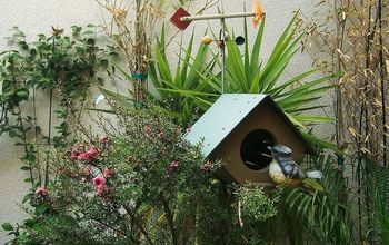 my bird house