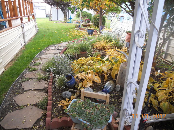 cleaning up garden for winter, flowers, gardening