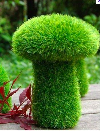 11 creative mushroom projects for your garden, Topiary