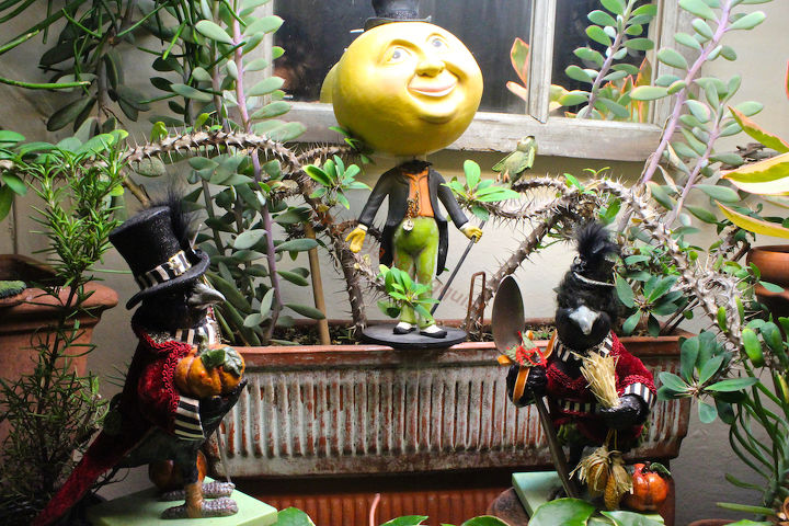 thanksgiving decor using a cast of characters part two, halloween decorations, seasonal holiday d cor, thanksgiving decorations, You ve heard of Meet the Fockers Well Mr Moon In The Man wants you to meet the crows AND I want you to meet the finches