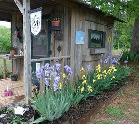 jeannie s his and hers garden sheds, gardening, outdoor living, repurposing upcycling, Some spillers in the galvanized tubs