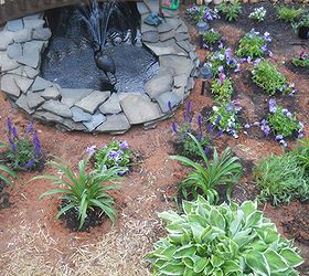 first pond ever, outdoor living, patio, ponds water features, Replacement pond which I posted just 2 days ago in another post about my flagstone patio and flagstone pond project I have to admit the maintaining is a little easier But plans to do another tiered pond is in the works