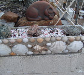 using shells to decorate flower pots