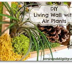 diy living wall with air plants, crafts, gardening, home decor, This easy DIY Living Wall with Air Plants is a mini version that can go anywhere