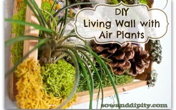 DIY Pared viva con plantas de aire