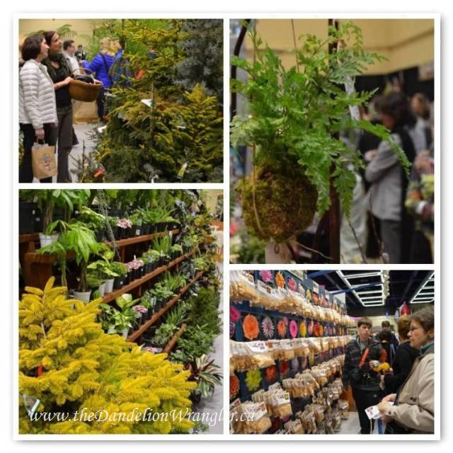 trend spotting at the nwfgs lust rust amp waterways, flowers, gardening, outdoor living, The market full of treasures