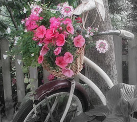vintage bicycle basket planter, gardening, repurposing upcycling