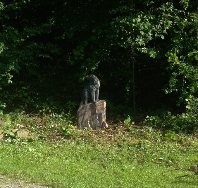 restoring a 65 year old cement statue, crafts, diy, how to, Here is his new home at the edge of the woods We plan to stack a few large rock beside him We have many of those I will create a new garden for him with pampas grass hostas and low flowering ground cover