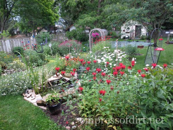 12 passeios encantadores pelo jardim, A Imperatriz da Sujeira O Jardim de Melissa Wills