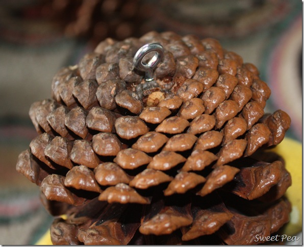 pine cone door decoration, crafts, seasonal holiday decor, A screw eye was inserted into each cone for the ribbon