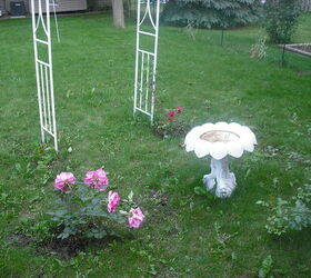 sharing my roses and flowers with garden 2, flowers, gardening, outdoor living, Oh look there is my birdbath I used to do my succalent garden and posted pics of had lots of birds at the house but not here so that is why I transformed it