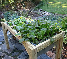 self watering planter, bedroom ideas, gardening, raised garden beds, more Swiss chard and kale